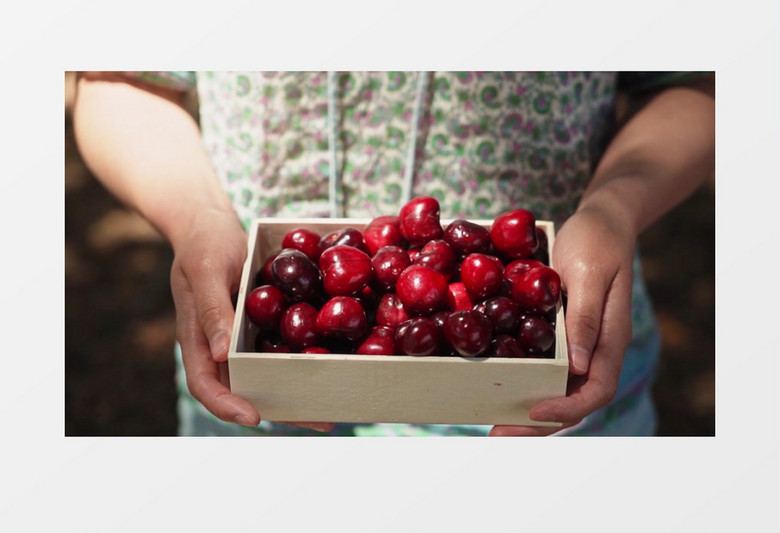 冲上云霄 产品图片